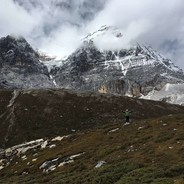 【S1mple】疾风与她皆我