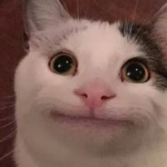 Tie