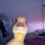 BigDuckJim