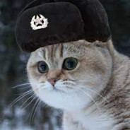 Soviet_Cat