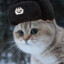 Soviet_Cat