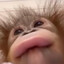 funkymonkey69