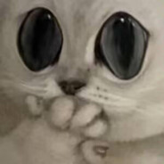 她日我若乘风起