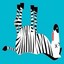 Zebrakadaver-