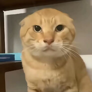 房子着火我拍照