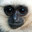 gibbon