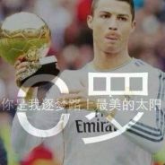 Never Explain. Random