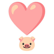 猪猪爱护手册^o^