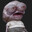 Polsack