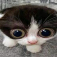 Невдупленыш