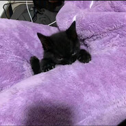 充充充充充充电