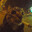 DR_RectoPlasm_MD