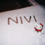 n1v1
