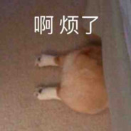 陈的数码宝龙怪