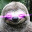 Based Sloth