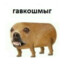 гавкошмыг71