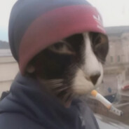 Ярды avatar