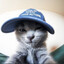 шамиль's avatar