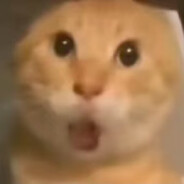 虚空最强传说红温玄武