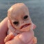 LysdexicDolphin