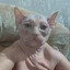 Сlop