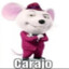 CARAIO