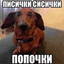 да кто этот ваш donk блять