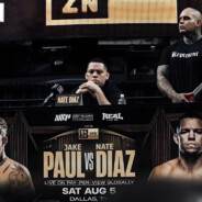 爱你是孤单的心事