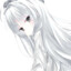 netherice