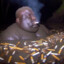Cigarette Bath