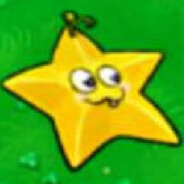 幕府车骑针叶桃