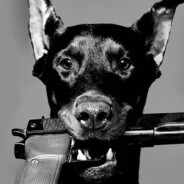 EL COLOMBIA V12 [FR]