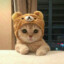 frooozzzzzz7y
