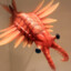 Anomalocaris