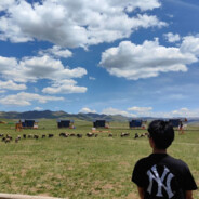 你说今晚夜色很美