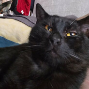 Boris
