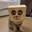 MrCacoona avatar