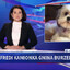 Fredi Kamionka gmina burzenin