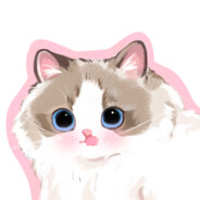 甜桃乌龙糯叽叽