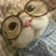 长毛粘史戳谁谁死