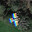 panwest5's Avatar