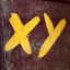 XY