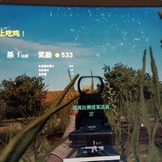 大足军团吃鸡YY36163326