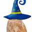 ShartBagg The Wizard