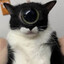 GoofyGamingGoober