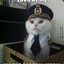 Capitaine Minou