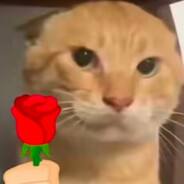 哎！哪打的啊？