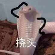 莫得感情的玄师