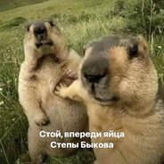 Степа Быков