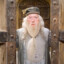 Albus Doubledoor